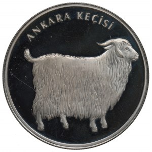 Turecko, 20 lir 2005 - stříbro