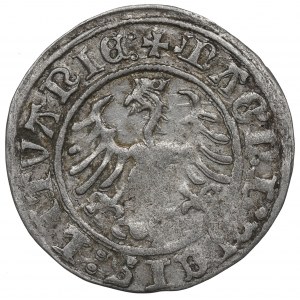 Sigismund I the Old, Halfgroat 1509, Vilnius