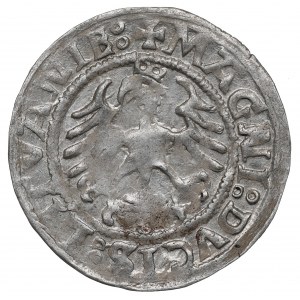 Žigmund I. Starý, Polovičný groš 1521, Vilnius - :1521:/LITVANIE: