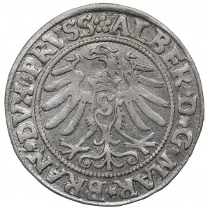 Germany, Preussen, Albrecht Hohenzollern, Groschen 1531, Konigsberg