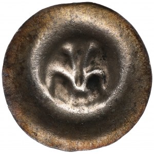 Nicht näher bezeichneter Bezirk, 13./14. Jahrhundert, Brakteat, heraldische Lilie mit Staubgefäßen