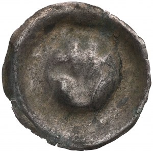 Nicht näher bezeichnetes Gebiet, 13./14. Jahrhundert, Brakteat, Lilie mit Staubgefäßen