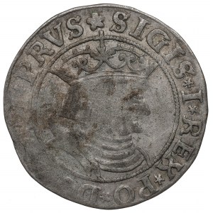 Sigismund I. der Alte, Pfennig für die preußischen Länder 1531, Toruń - PRVS/PRVSS