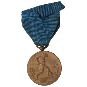 II RP, Medal Dziesięciolecia Odzyskanej Niepodległości - duże inicjały