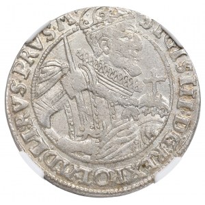 Sigismund III. Vasa, Ort 1623, Bromberg (Bydgoszcz) - PRVS M NGC MS64