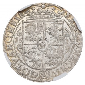 Zikmund III Vasa, Ort 1623, Bydgoszcz - PRV M NGC MS64