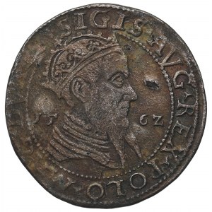 Sigismund II Augustus, Trojak 1562, Vilnius - Porträt LI/LITVA