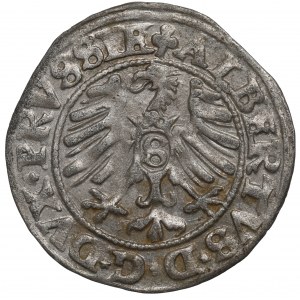Kniežacie Prusko, Albrecht Hohenzollern, Shelburst 1550, Königsberg