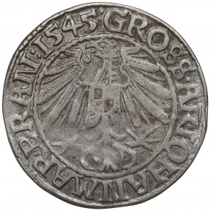 Marchia Brandenburska, Grosz 1545, Krosno