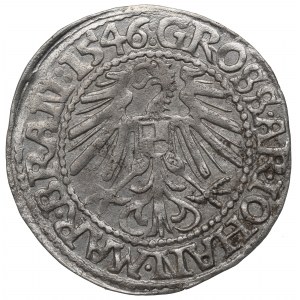 Braniborský pochod, Penny 1546, Krosno