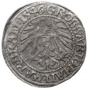Brandenburský pochod, Penny 1546, Krosno