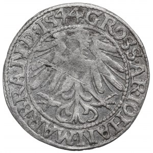 Marchia Brandenburska, Grosz 1544, Krosno