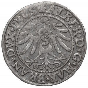 Kniežacie Prusko, Albrecht Hohenzollern, Grosz 1532, Königsberg