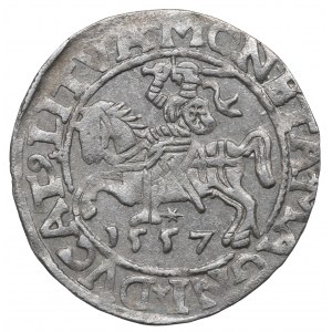 Sigismund II. Augustus, Halbpfennig 1557, Wilna - LI/LIT