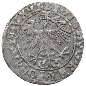 Sigismund II Augustus, Half-groat 1557, Vilnius - LI/LITV