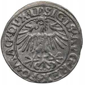 Sigismund II Augustus, Halfgroat 1547, Vilnius