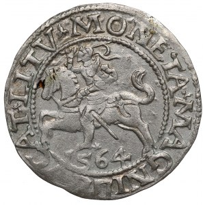 Sigismund II Augustus, Halfgroat 1564, Vilnius - L/LITV