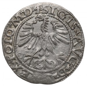 Sigismund II. Augustus, Halbpfennig 1564, Wilna - L/LITV