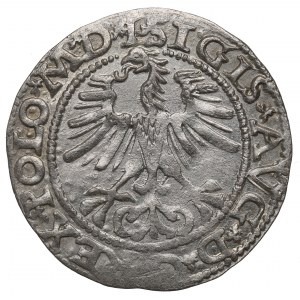 Sigismund II Augustus, Halfgroat 1564, Vilnius - L/LITV