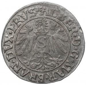 Germany, Preussen, Albrecht Hohenzollern, Groschen 1534, Konigsberg