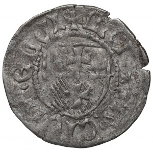 Kasimir IV. Jagiellone, Schellfisch ohne Datum, Elbląg