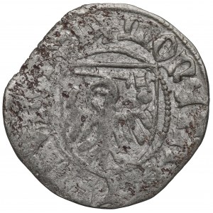 Kasimir IV. Jagiellone, Schellack ohne Datum, Torun