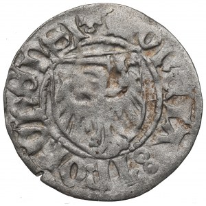 Kasimir IV. Jagiellonisch, Regal ohne Datum, Torun