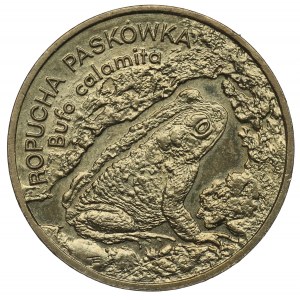 III RP, 2 złote 1998 Ropucha Paskówka