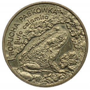 III RP, 2 zlaté 1998 Toad Paskówka