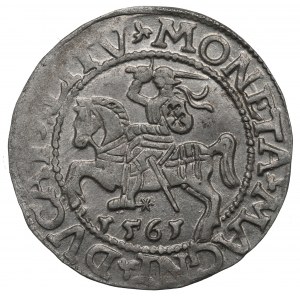 Zikmund II August, půlpenny 1561, Vilnius - L/LITV