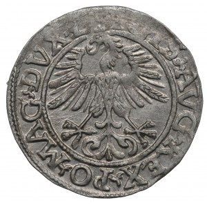 Zikmund II August, půlpenny 1561, Vilnius - L/LITV