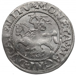 Sigismund II Augustus, Halfgroat 1565, Vilnius