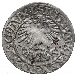 Sigismund II. Augustus, Halbpfennig 1561, Wilna - L/LITV