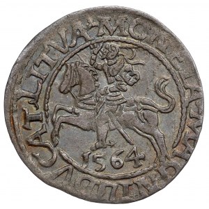 Sigismund II. Augustus, Halbpfennig 1564, Wilna, L/LITVA
