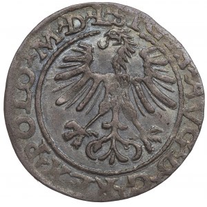 Sigismund II. Augustus, Halbpfennig 1564, Wilna, L/LITVA