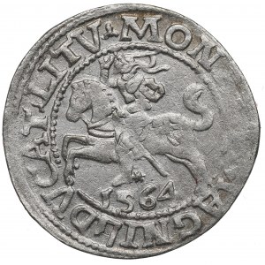 Sigismund II Augustus, Halfgroat 1564, Vilnius - L/LITV