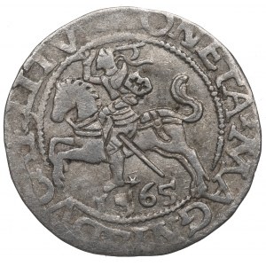 Zikmund II August, půlgroš 1565, Vilnius - L/LITV