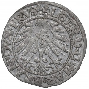 Knížecí Prusko, Albrecht Hohenzollern, Grosz 1546, Königsberg