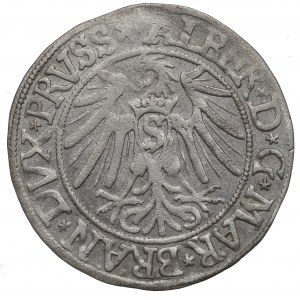 Knížecí Prusko, Albrecht Hohenzollern, Grosz 1538, Königsberg