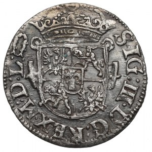 Žigmund III Vasa, Polovičná stopa 1619, Vilnius - vzácne