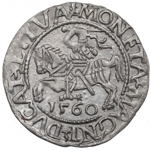 Sigismund II Augustus, Halfgroat 1560, Vilnius - L/LITVA