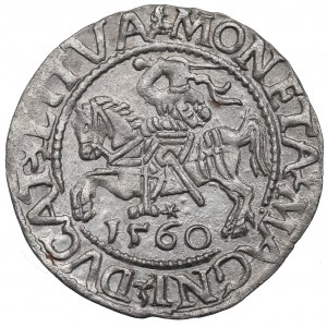 Zikmund II August, půlgroš 1560, Vilnius - L/LITVA