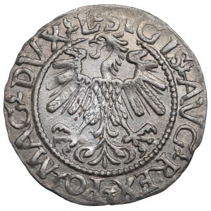 Žigmund II August, polgroš 1560, Vilnius - L/LITVA