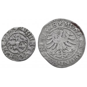 Jan Olbracht i Zygmunt Stary, Zestaw monet