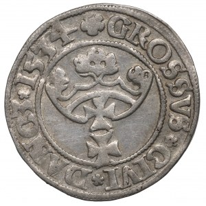 Zikmund I. Starý, Grosz 1534, Gdaňsk