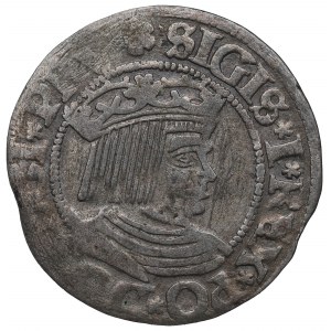 Sigismundus I, Groschen 1533, Danzig
