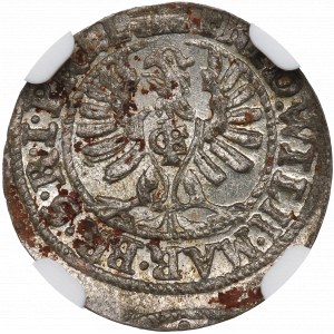 Kniežacie Prusko, Shelag 1654, Königsberg - NGC UNC Podrobnosti