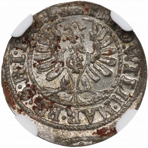 Prusy Książęce, Szeląg 1654, Królewiec - NGC UNC Details