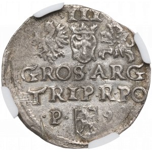 Sigismund III Vasa, Trojak 1598, Poznań - NGC UNC Details