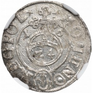 Žigmund III Vasa, polostopa 1616, Bydgoszcz - NGC MS64